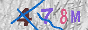 Immagine CAPTCHA