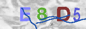 Immagine CAPTCHA