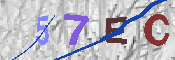 Immagine CAPTCHA
