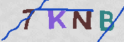 Immagine CAPTCHA