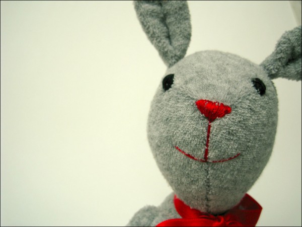 Rabbit 4