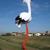 Stork