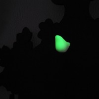 fluorescent-cuckoo